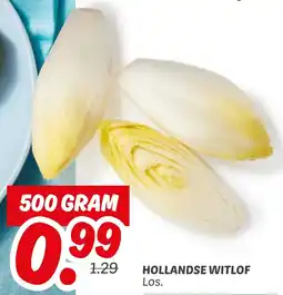 Dekamarkt Hollandse witlof aanbieding