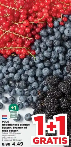 PLUS PLUS Nederlandse Blauwe bessen, bramen of rode bessen aanbieding