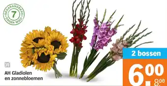 Albert Heijn AH Gladiolen en zonnebloemen aanbieding