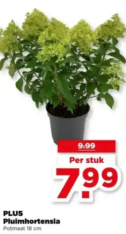 PLUS PLUS Pluimhortensia aanbieding
