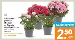 Albert Heijn AH Potroos potmaat Ø 13 cm of Begonia Betulia 19 cm aanbieding