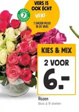 Wibra Rozen aanbieding