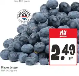 Wibra Blauwe bessen aanbieding