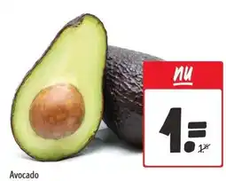 Wibra Avocado aanbieding