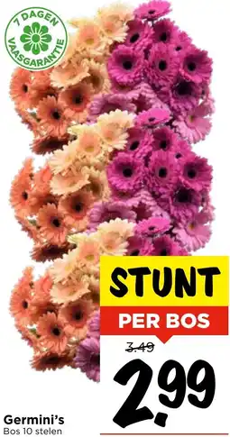 Vomar Voordeelmarkt Germini's aanbieding