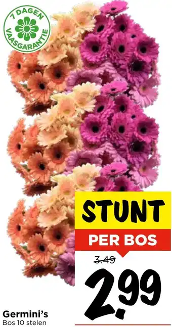 Vomar Voordeelmarkt Germini's aanbieding