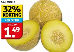 Hoogvliet Galia meloen aanbieding