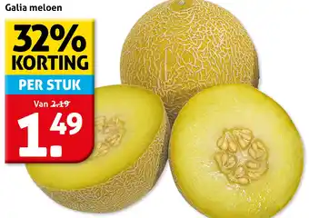 Hoogvliet Galia meloen aanbieding