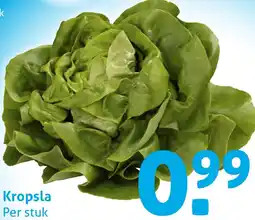 Hoogvliet Kropsla aanbieding