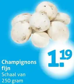 Hoogvliet Champignons fijn aanbieding