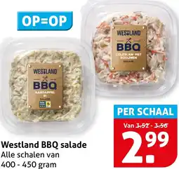Hoogvliet Westland BBQ salade aanbieding