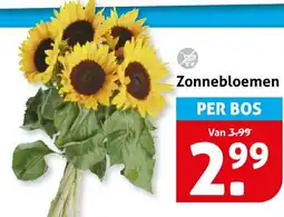 Hoogvliet Zonnebloemen aanbieding