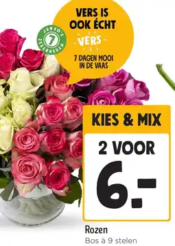 Jumbo Rozen aanbieding