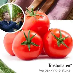 Jumbo Trostomaten aanbieding