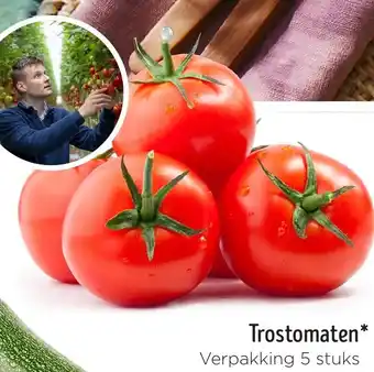 Jumbo Trostomaten aanbieding