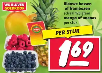 Nettorama Blauwe bessen of frambozen, mango of ananas aanbieding