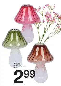 Zeeman Vaasje aanbieding