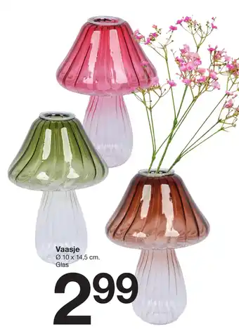 Zeeman Vaasje aanbieding