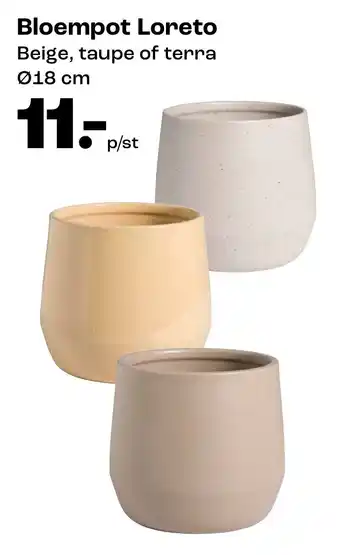 Kwantum Bloempot Loreto aanbieding