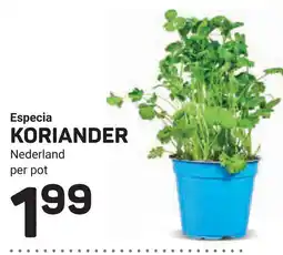Ekoplaza Koriander aanbieding
