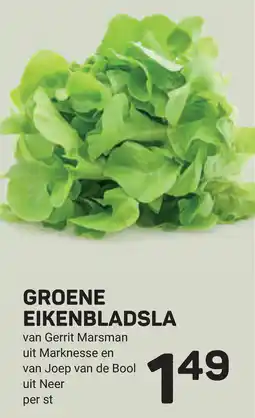 Ekoplaza Groene eikenbladsla aanbieding