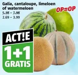 Poiesz Galia, cantaloupe, limeloen of watermeloen aanbieding