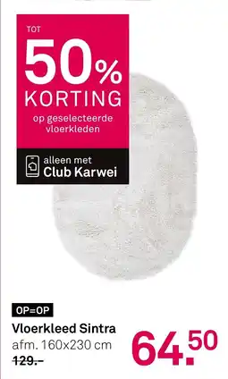 Karwei Vloerkleed Sintra aanbieding