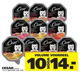Ranzijn CESAR aanbieding