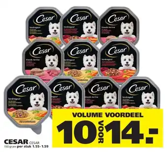 Ranzijn CESAR aanbieding