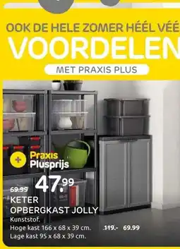 Praxis KETER OPBERGKAST JOLLY aanbieding