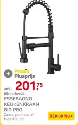 Praxis ESSEBAGNO KEUKENKRAAN BIG PRO aanbieding