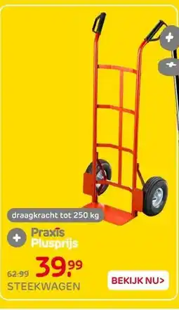 Praxis STEEKWAGEN aanbieding