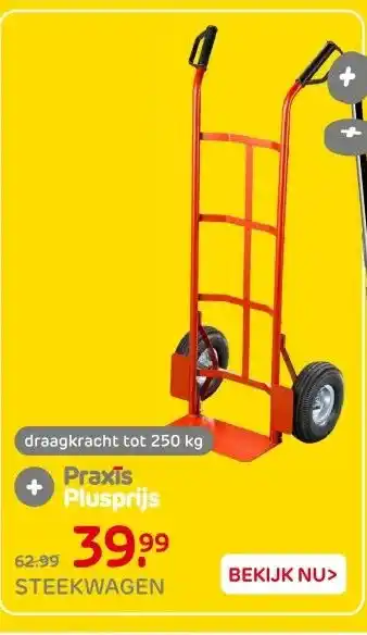 Praxis STEEKWAGEN aanbieding