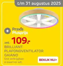 Praxis BRILLIANT PLAFONDVENTILATOR GAIANO aanbieding
