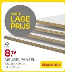 Praxis MEUBELPANEEL aanbieding