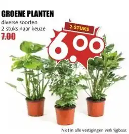 MCD Supermarkt GROENE PLANTEN aanbieding