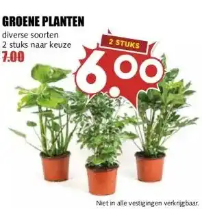 MCD Supermarkt GROENE PLANTEN aanbieding