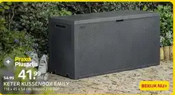 Praxis KETER KUSSENBOX EMILY aanbieding
