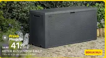 Praxis KETER KUSSENBOX EMILY aanbieding