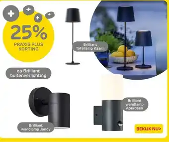Praxis Brilliant buitenverlichting aanbieding
