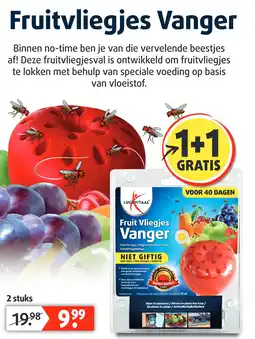 Lucovitaal Fruitvliegjes Vanger aanbieding