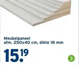 GAMMA Meubelpaneel afm. 250x40 cm, dikte 18 mm aanbieding