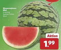 Combi Wassermelonen Mini aanbieding