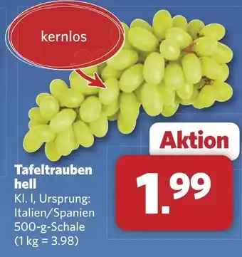 Combi Tafeltrauben hell aanbieding