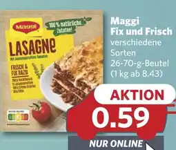 Combi Maggi Fix und Frisch aanbieding