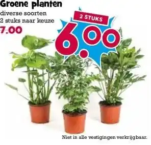Boon`s Markt Groene planten aanbieding