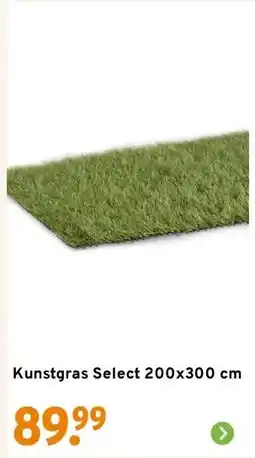 GAMMA Kunstgras Select 200x300 cm aanbieding