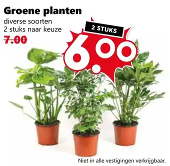 Coop Groene planten aanbieding