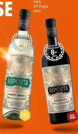 Gall & Gall Riporta Pinot Grigio 75CL aanbieding