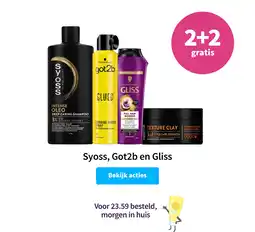 Plein.nl Syoss, Got2b en Gliss aanbieding